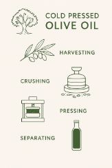 illustration with olive branch, press, showing how olive oil is made
